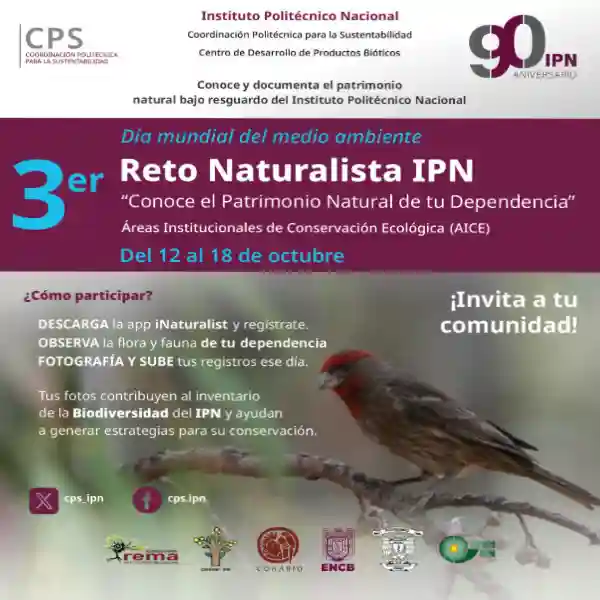 3er Reto Naturalista IPN